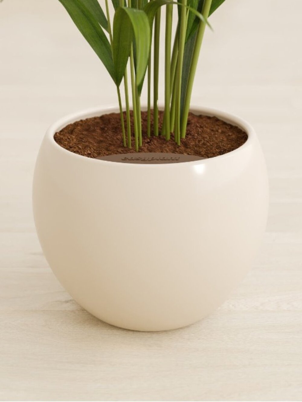Easyplant Self-Watering Ceramic Planter Pot. Shiny Eggwhite. Monet. - Picture 3 of 10